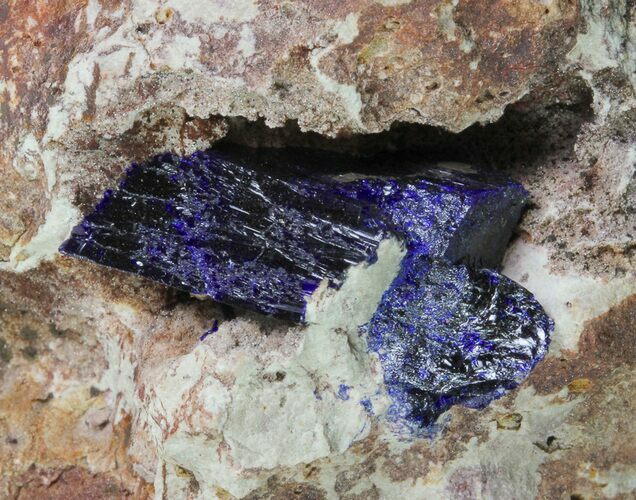 Azurite Crystal On Matrix - Morocco #74690